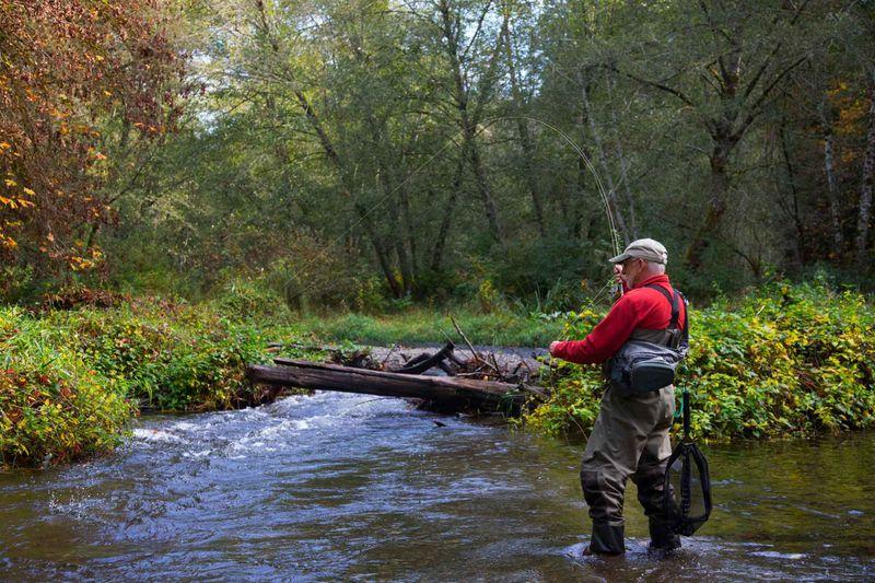 Pêche en rivière 3